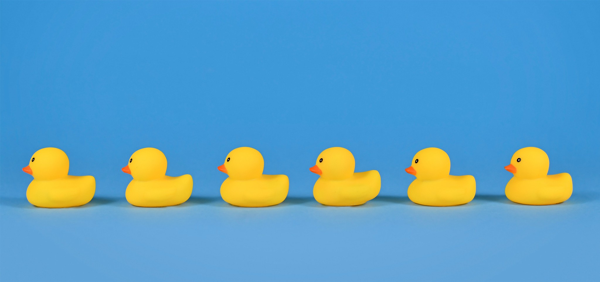 Get Your Ducks in a Row Before Summer Starts