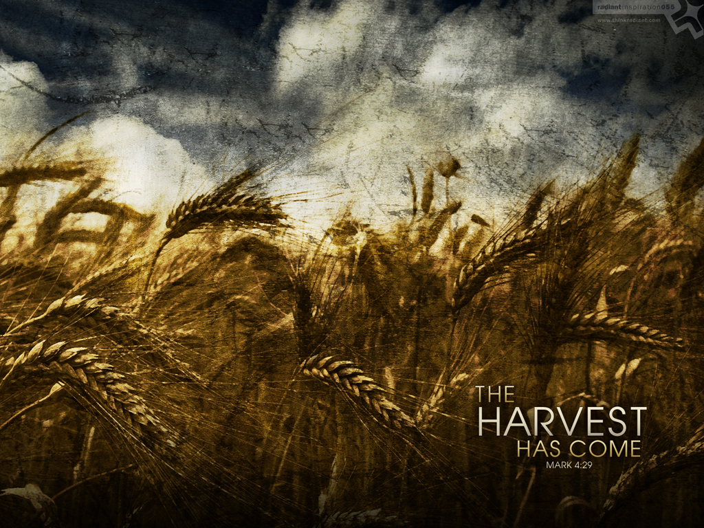 No. 055 - The Harvest Has Come (www.thinkradiant.com)